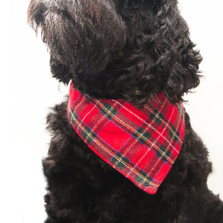 Large Dog Bandanas